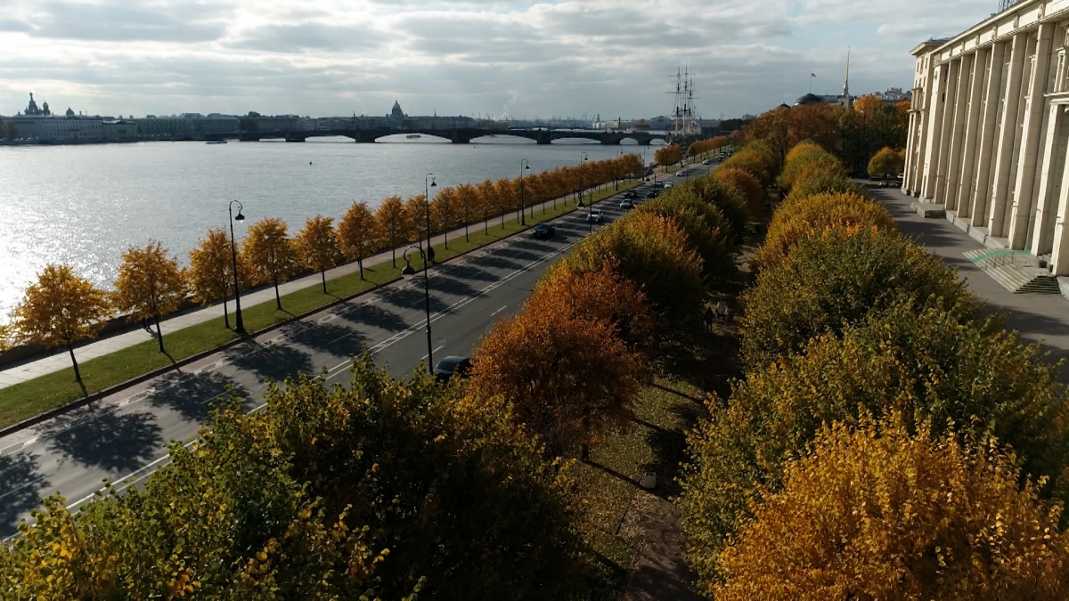 В Петербурге привели в порядок больше трети территорий в рамках осеннего месячника благоустройства - tvspb.ru