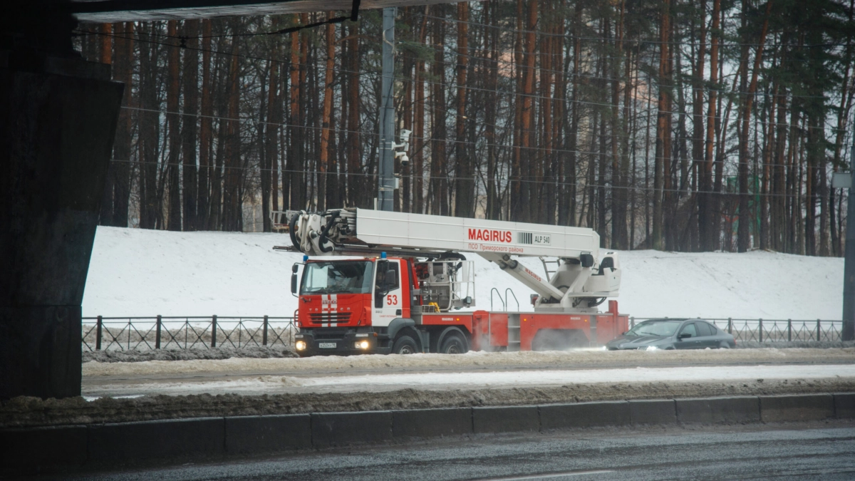 На трассе М-11 «Нева» в Колпинском районе сгорела иномарка - tvspb.ru