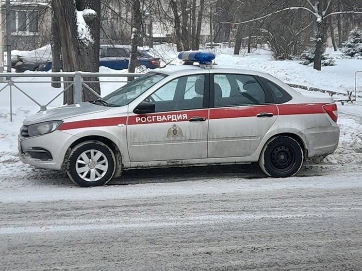 Петербуржцев задержали после хулиганства в торговом центре на Полюстровском